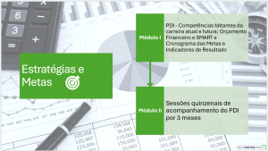 Estratégias e Metas