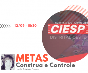Metas: Construa e Controle